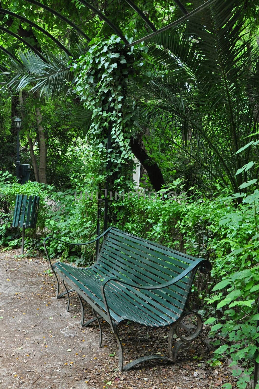 Green bench and lush vegetation at the national botanical garden public park in Athens, Greece.