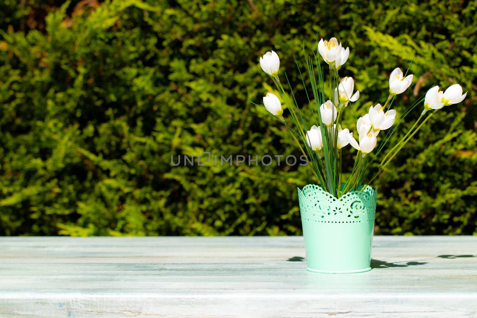 Decorative composition of white wild flowers on rustic bright wooden table in front of natural green background. Space on left site for your food product display montage.