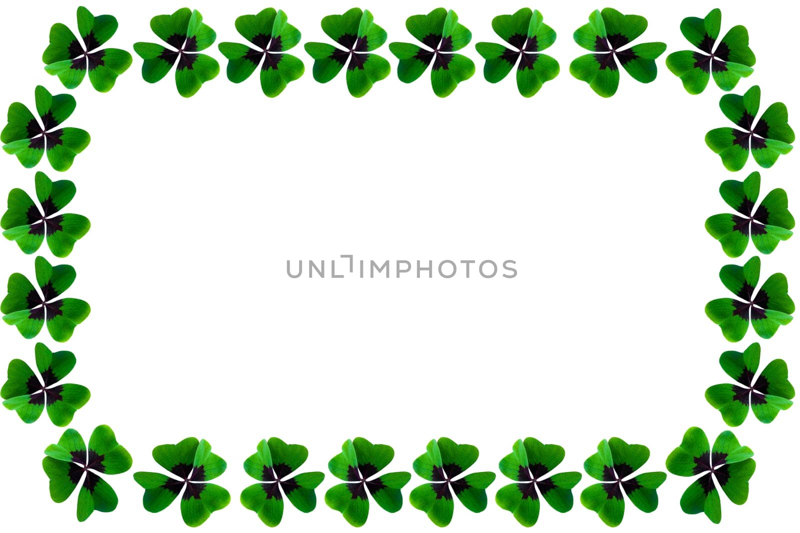 St. Patrick's day shamrock frame Irish lucky white background