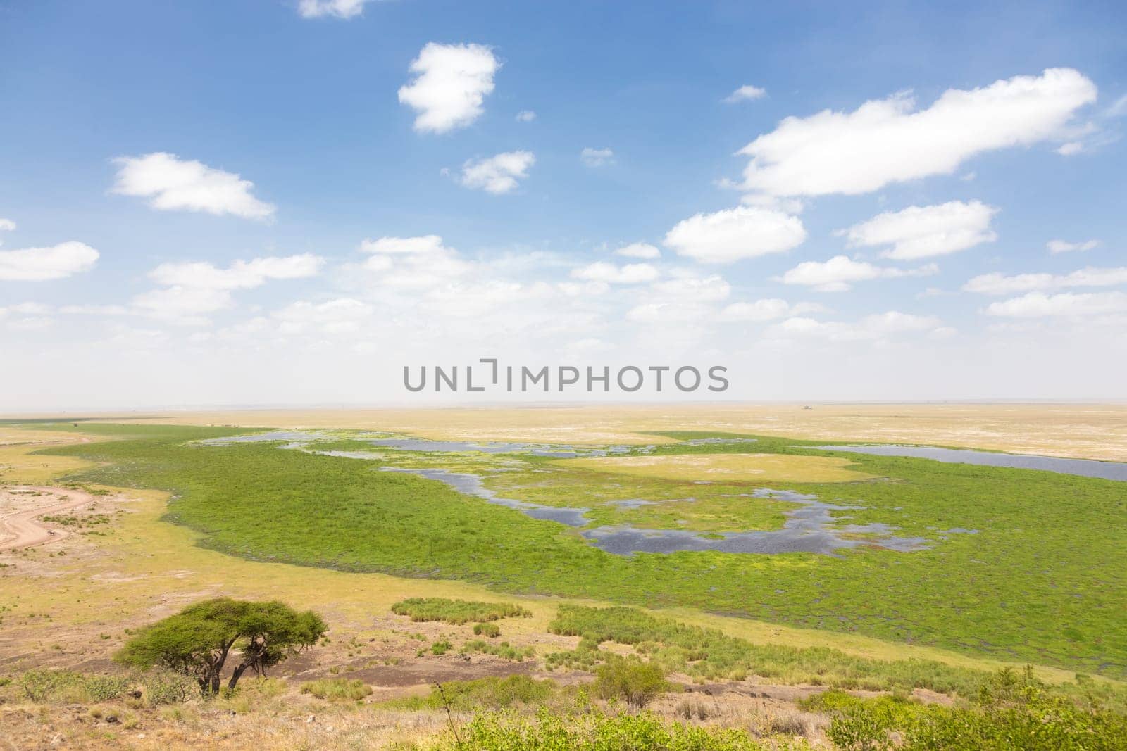Panoramiv view of Amboseli national park, wildlife conservation area in Kenya, Africa.