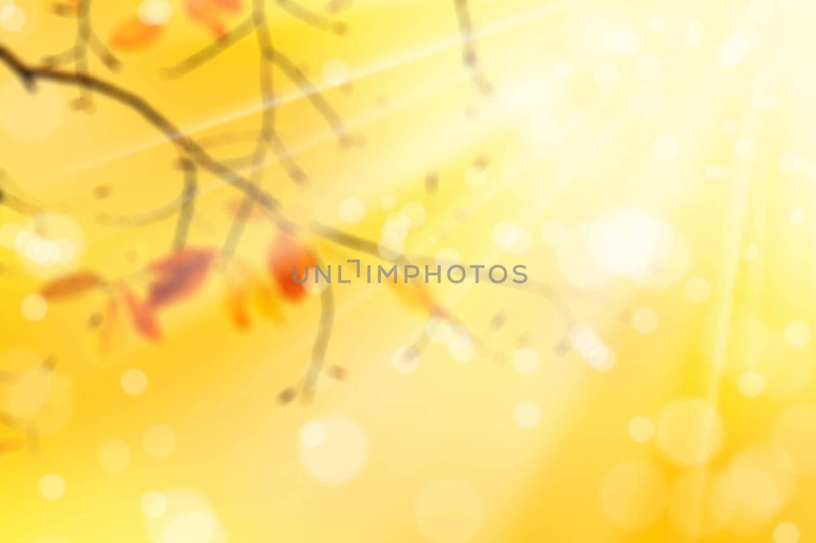 blurry background image of yellow autumn leaves over sunny sky