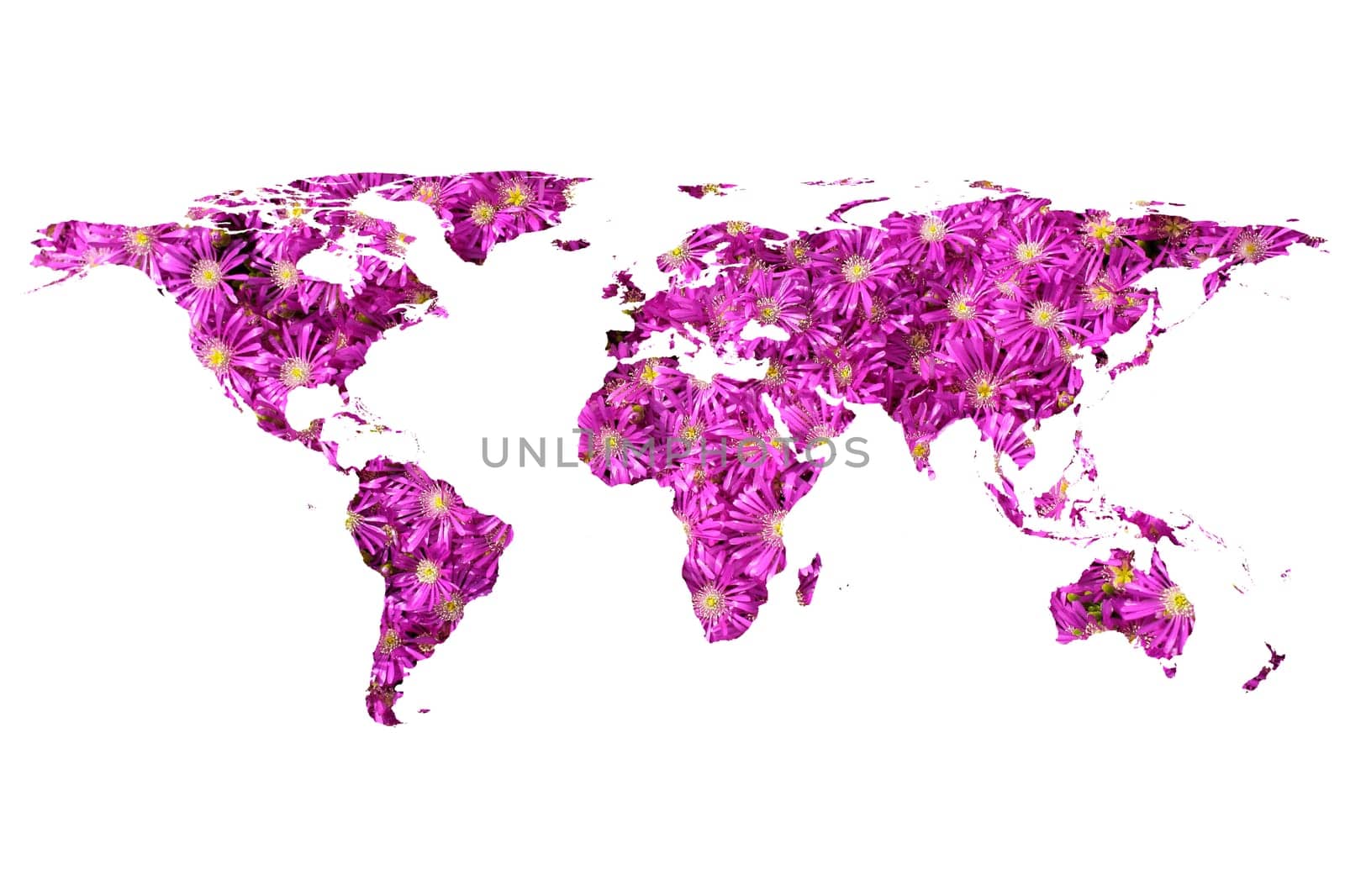 isolated flat world map and flowers. NASA flat world map image is used to furnish this image.