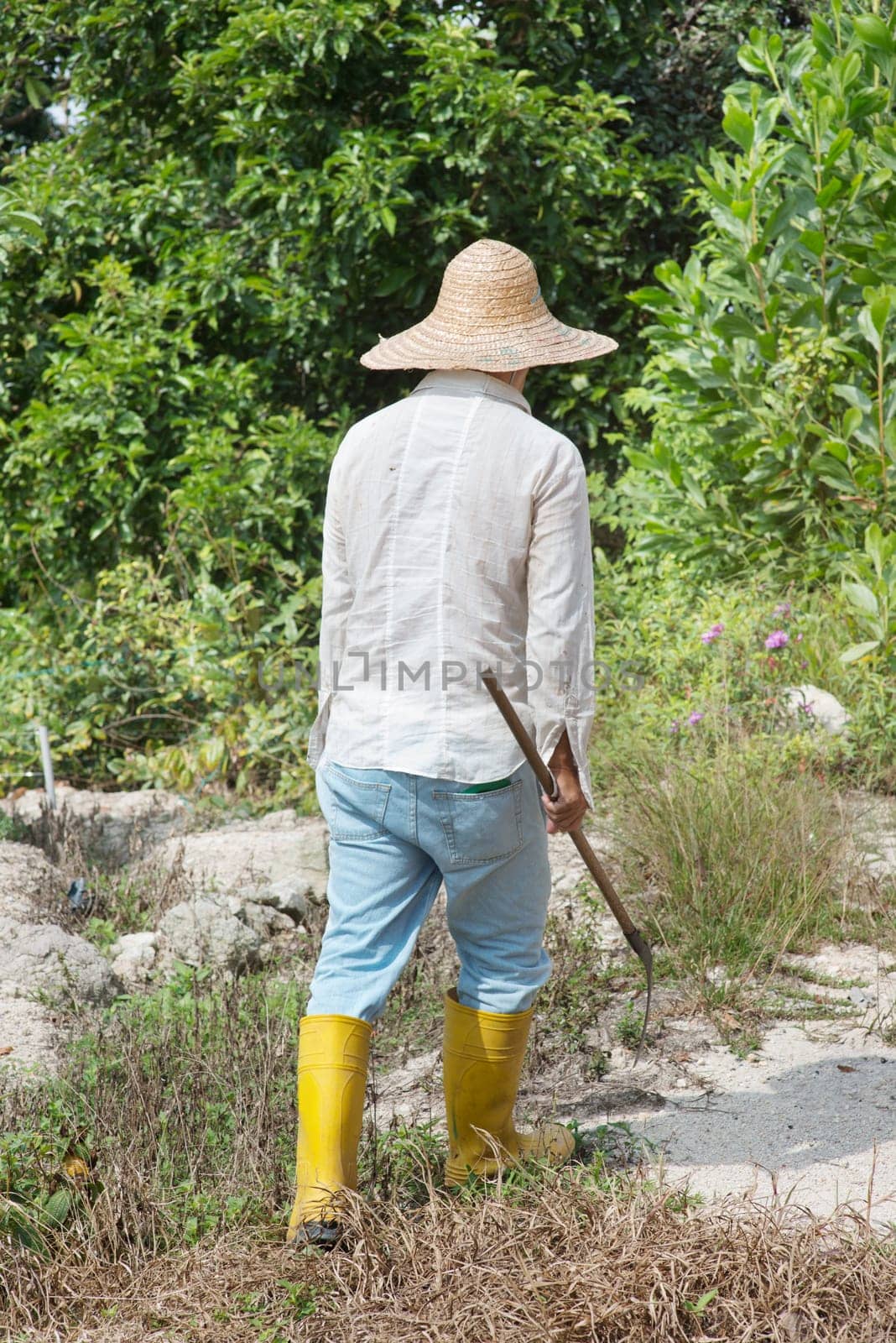 Asian farmer cleaning land under hot sun.