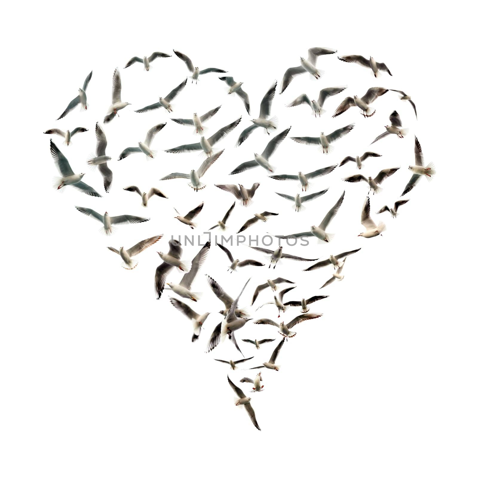 conceptual background image of heart shape with birds flying