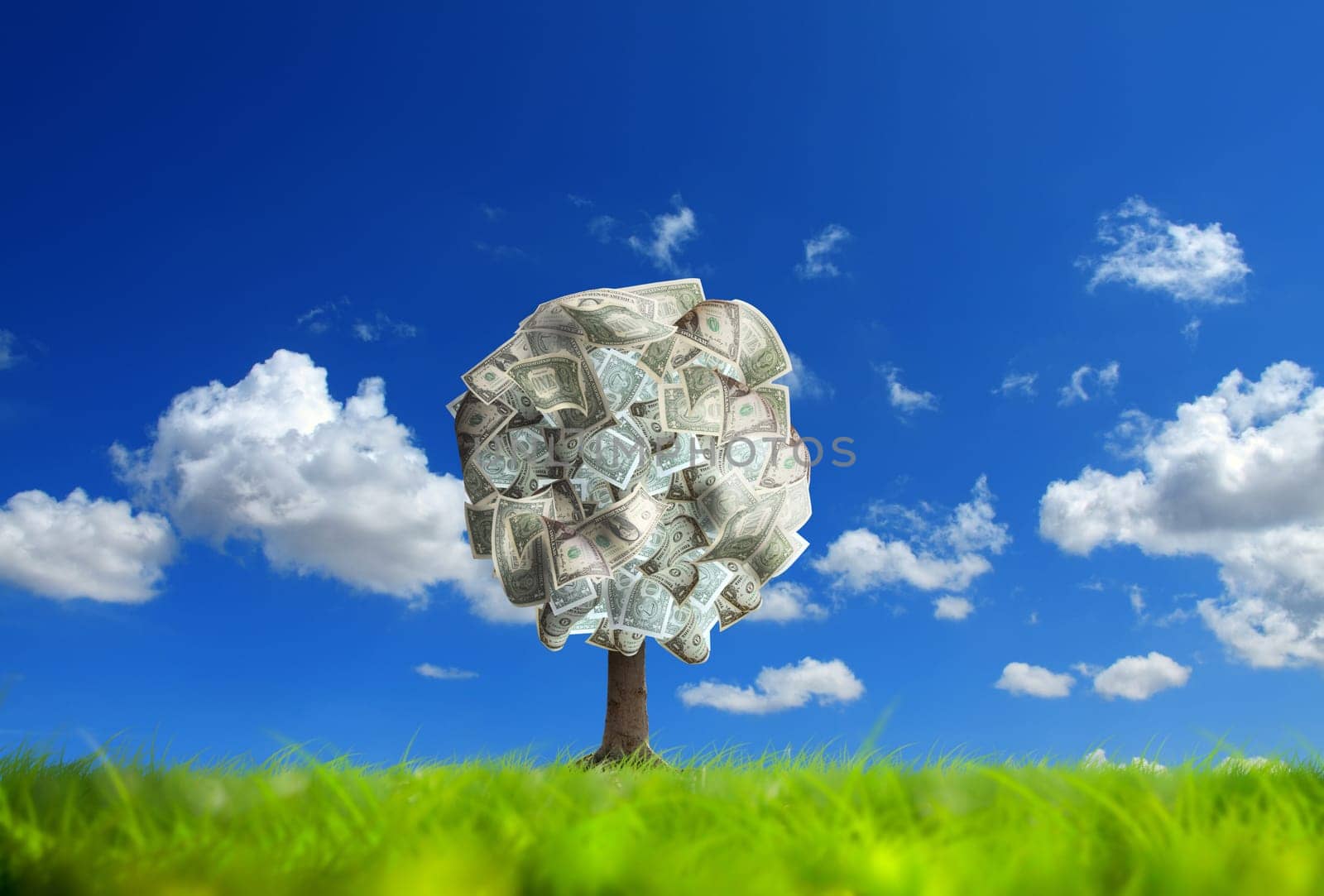 Conceptual image of money tree on green landscape