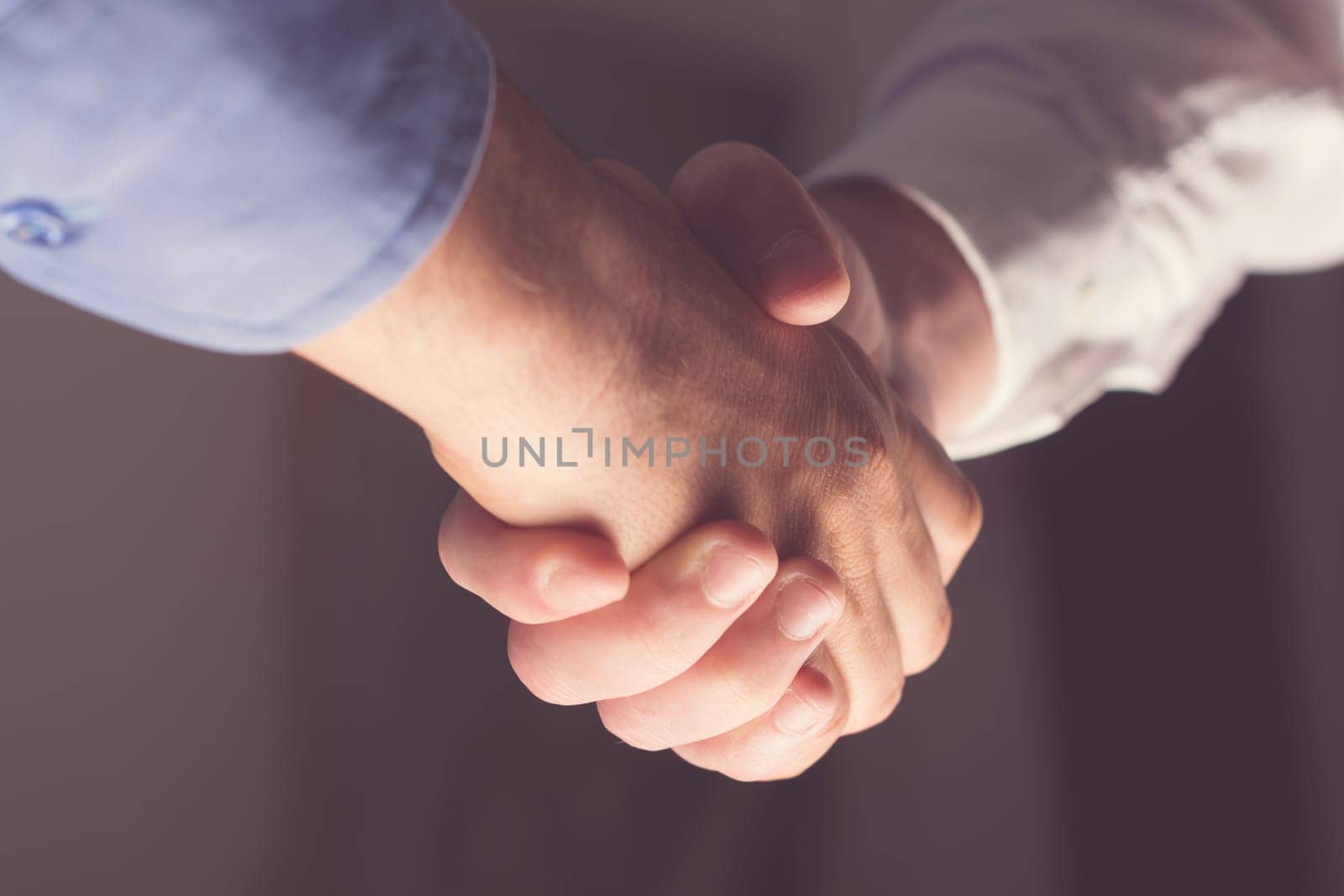 Handshaking of two business people. Partnership - Teamwork. Greeting, Form Of Communication. Light in scene come from down.