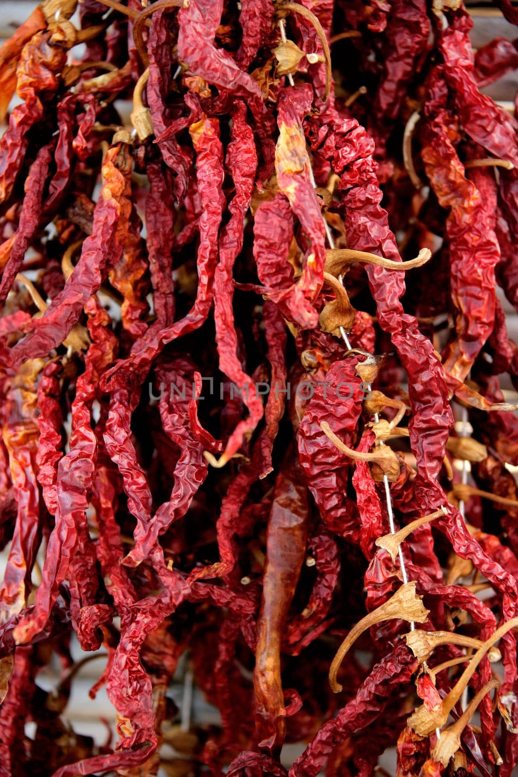 close up shot of dried red peppers