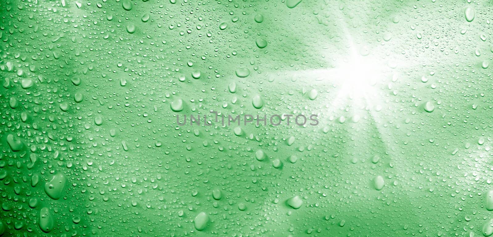 close up shot of rain drops and light.