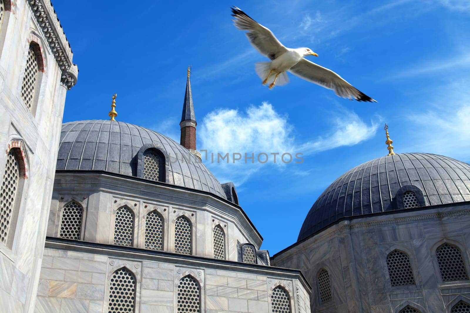 detail shot from Ayasofia mosque in Istanbul, Turkey.
