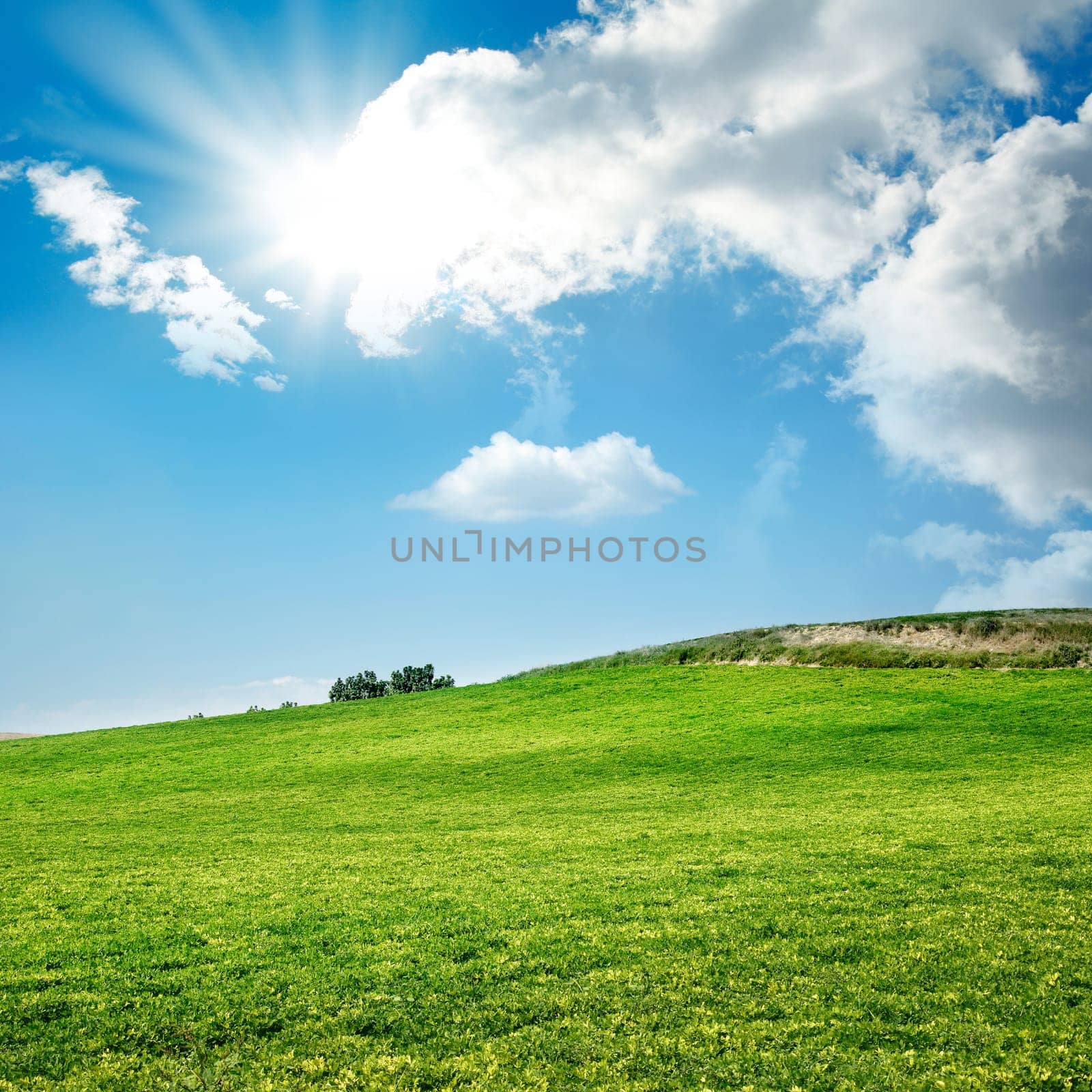 green landscape over sunny and cloudy sky