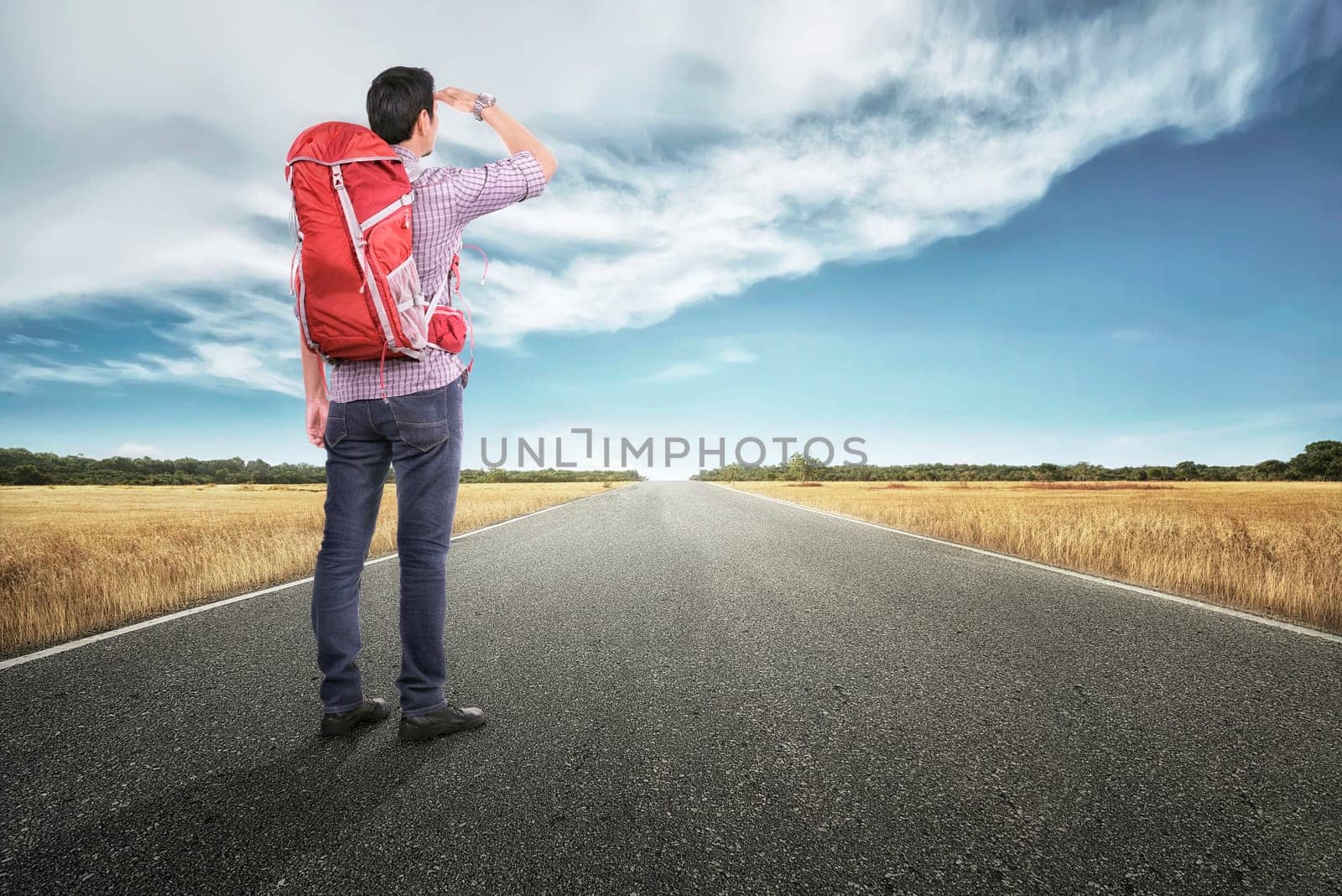 Back view of asian tourist man enjoying panorama at savannah