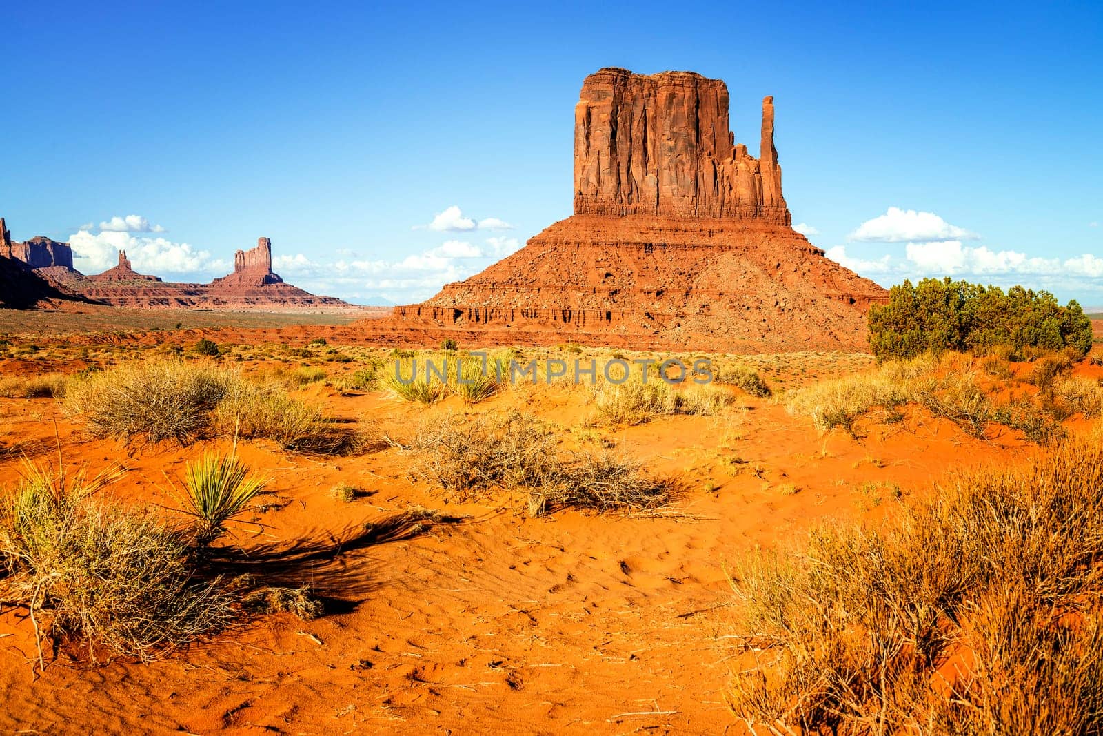 The unique landscape of Monument Valley, Utah, USA.