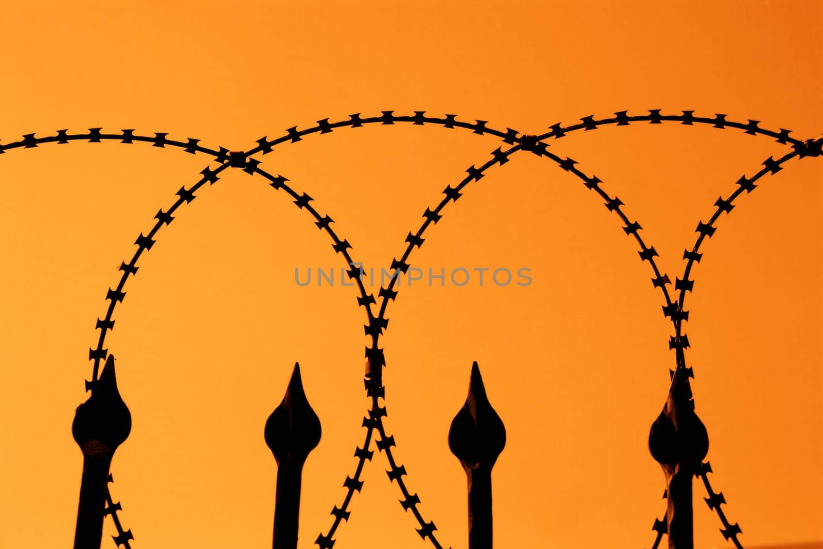 detail shot from a barbed wire fence with orange sky