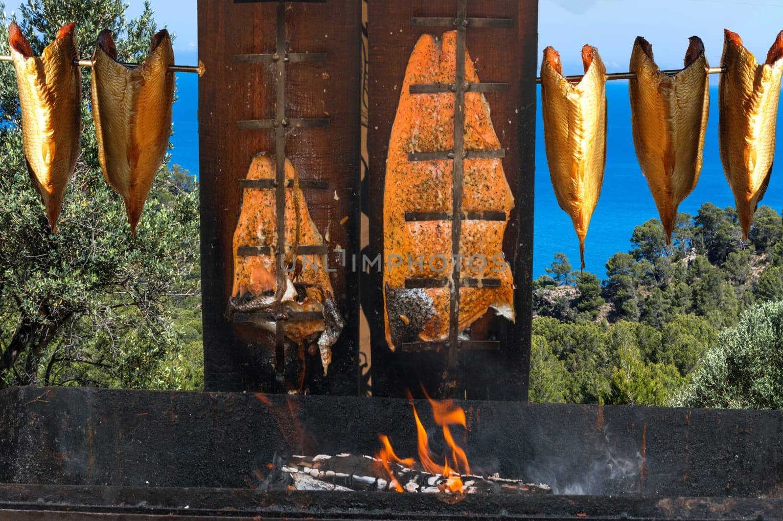 Preparation for smoking salmon over an open fire
