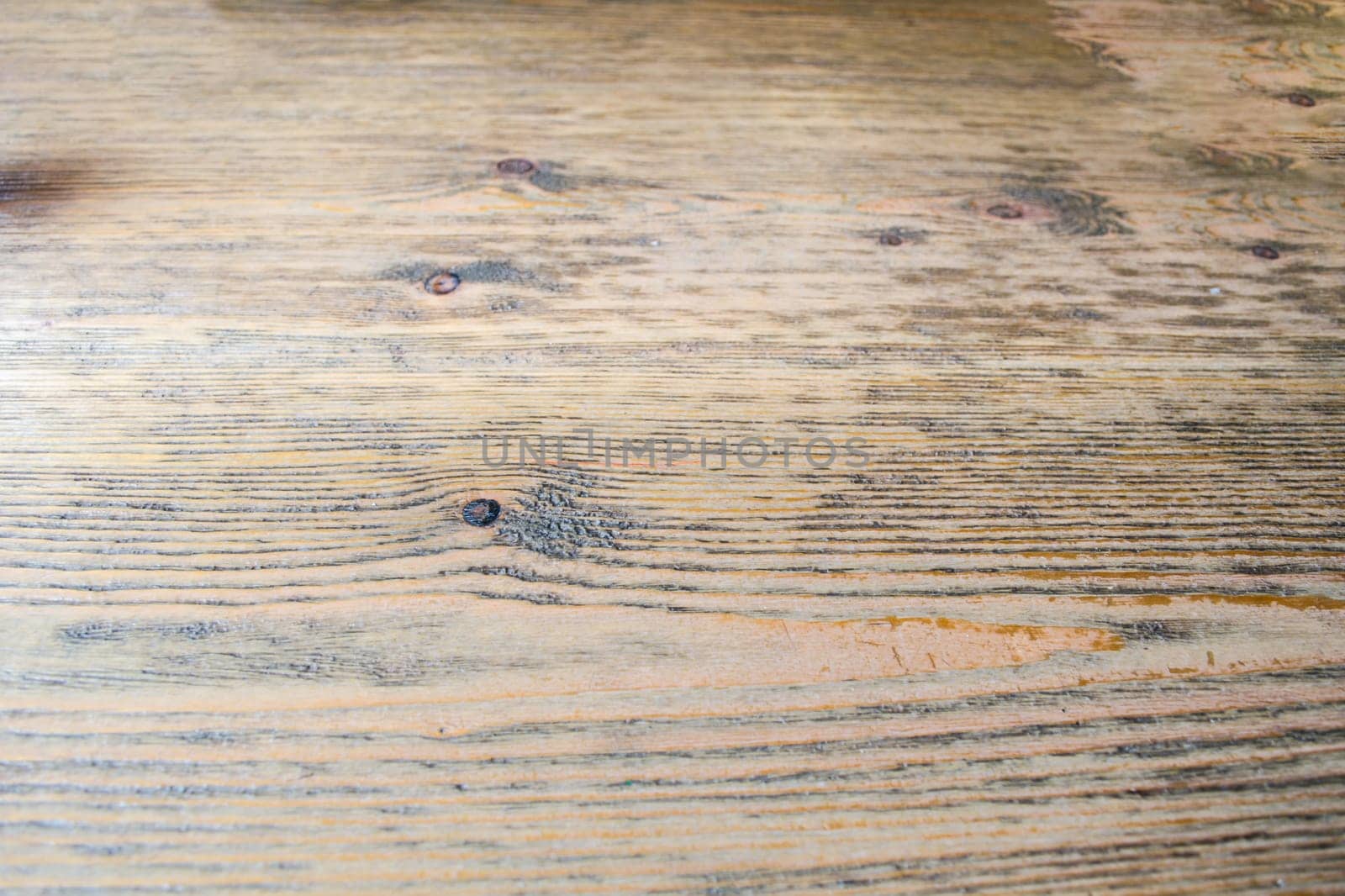 Abstract surface wood texture background. Texture background, empty template for your design.