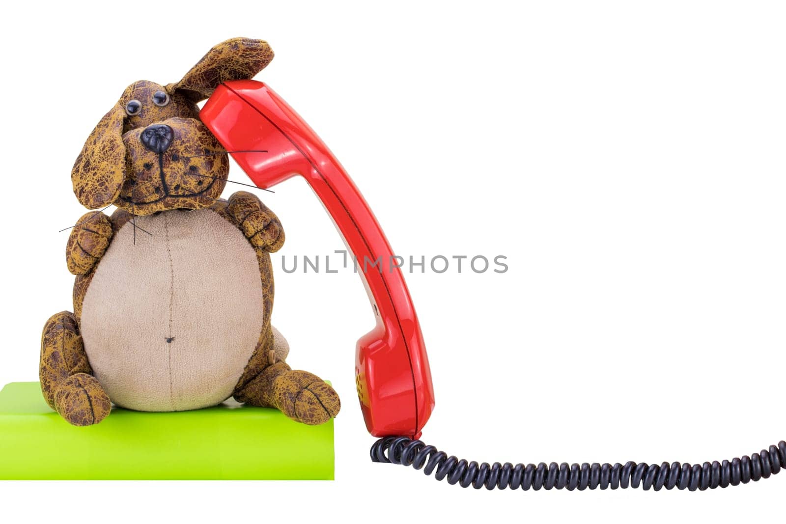 Red vintage telephone receiver with black cable isolated on white background. Funny dog is sitting on green book and taking a call. Suitable for contact exchange and call center. Template for your product display montage.