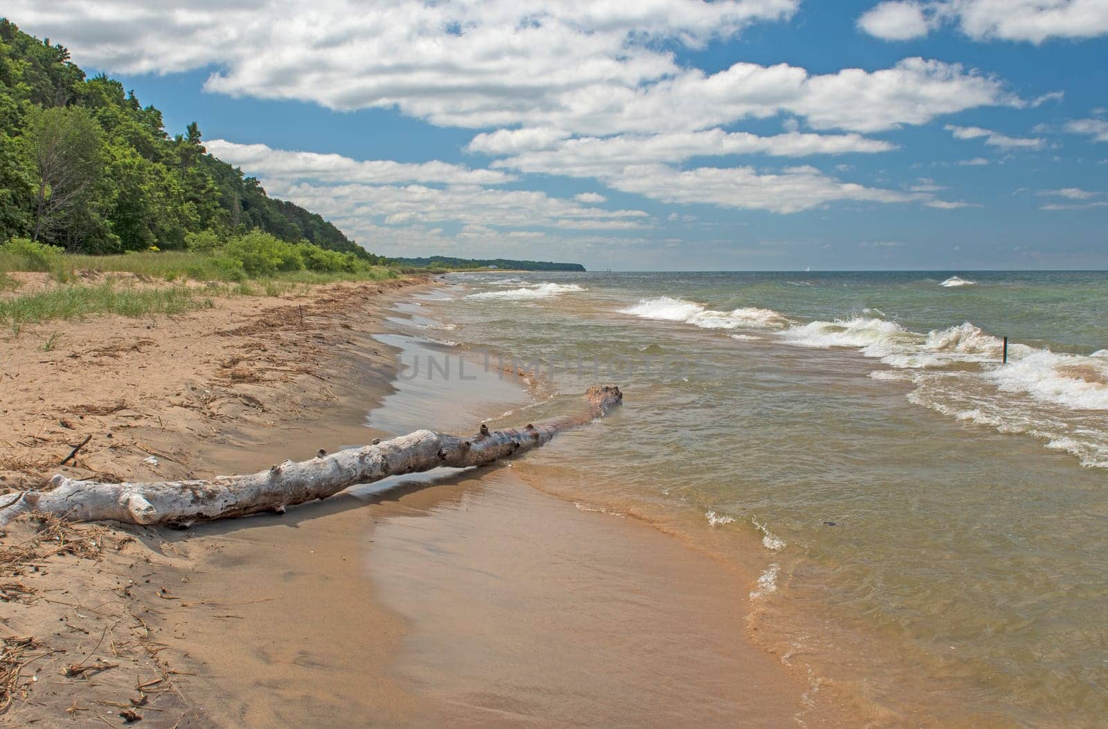 Quiet Lake Shore Beach Saugatuck Dunes State Park along Lake Michigan in Michigan