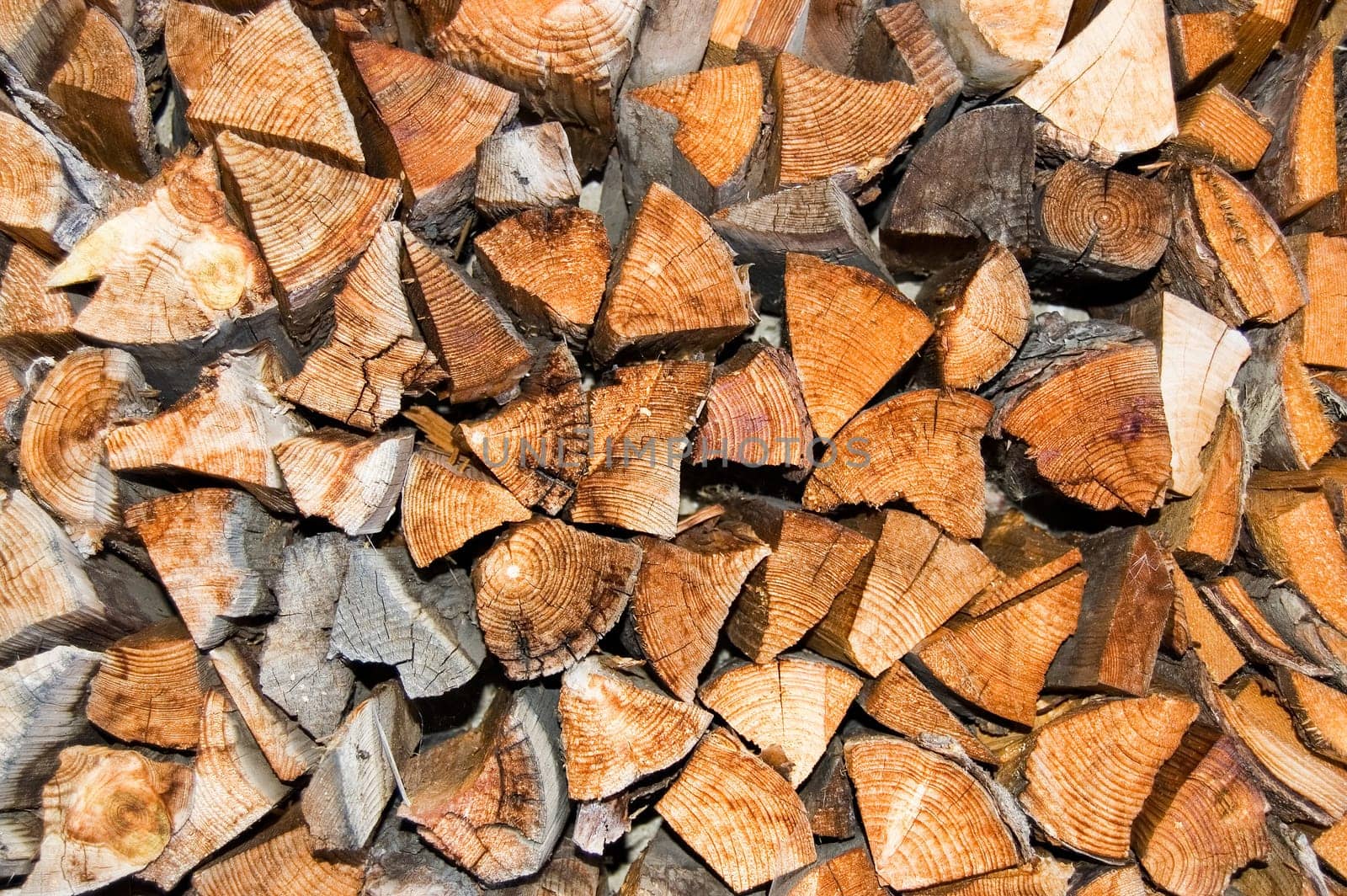 Stack of logs in yard