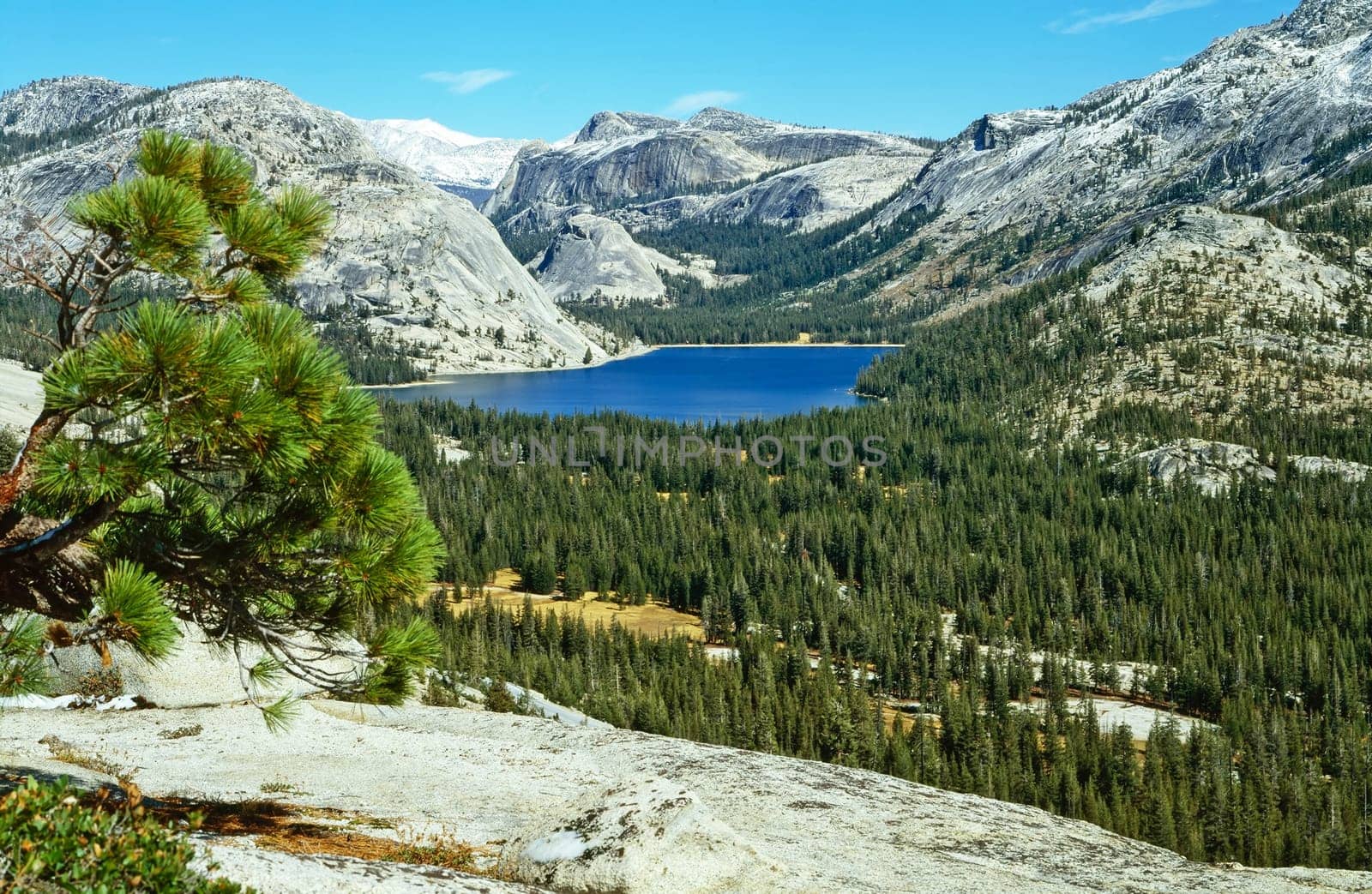 Tenaya Lake in Yosemite National Park, California