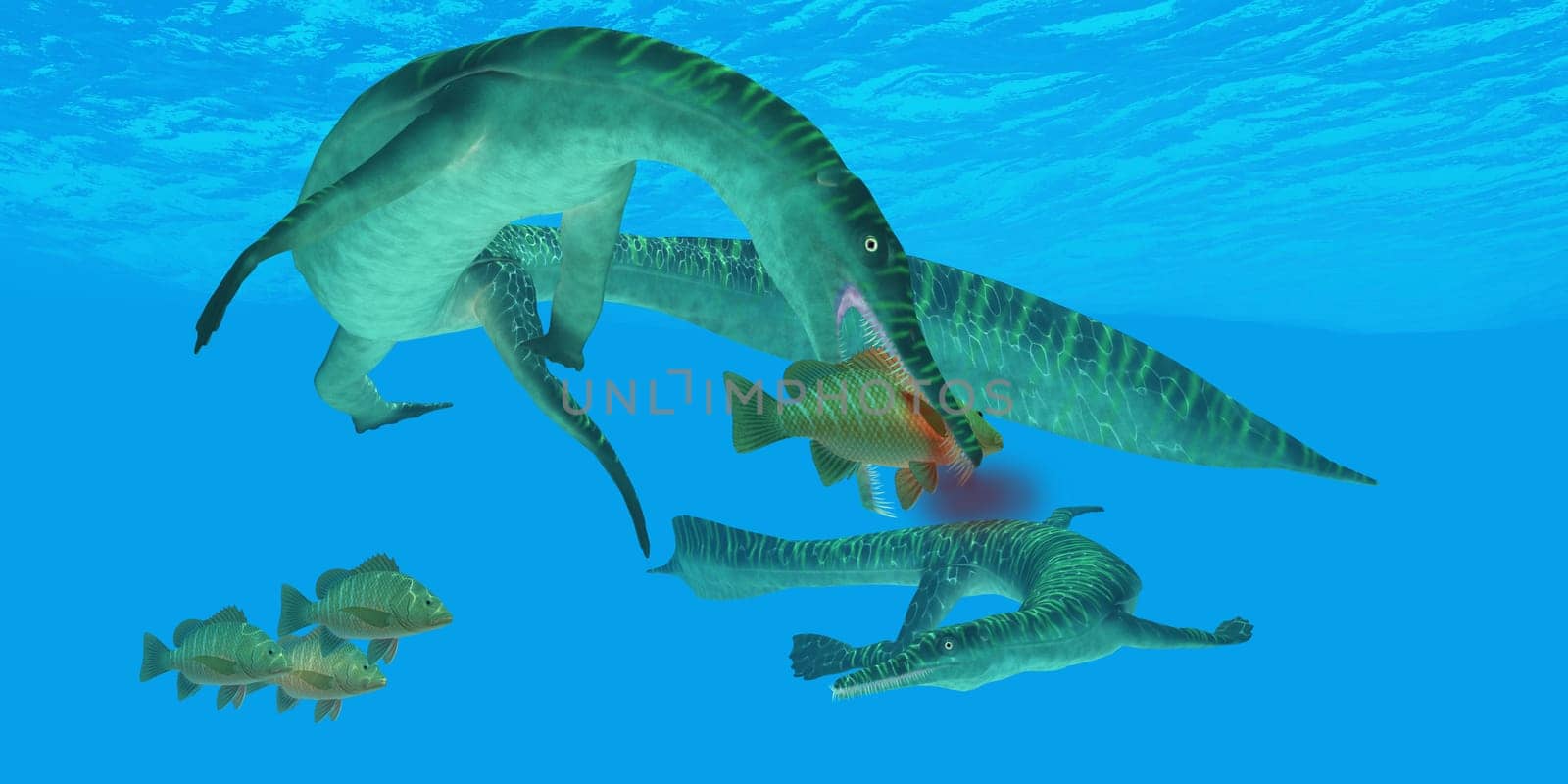 Mesosaurus marine reptile attacks a Mangrove Jack Snapper fish in a Permian ocean.