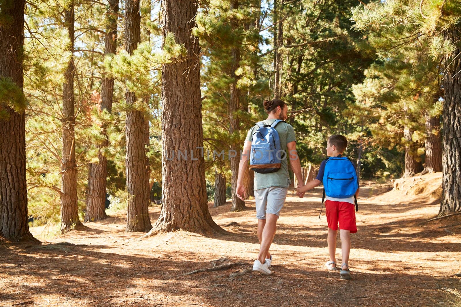 Rear View Of Father And Son On Hiking Adventure Through Forest
