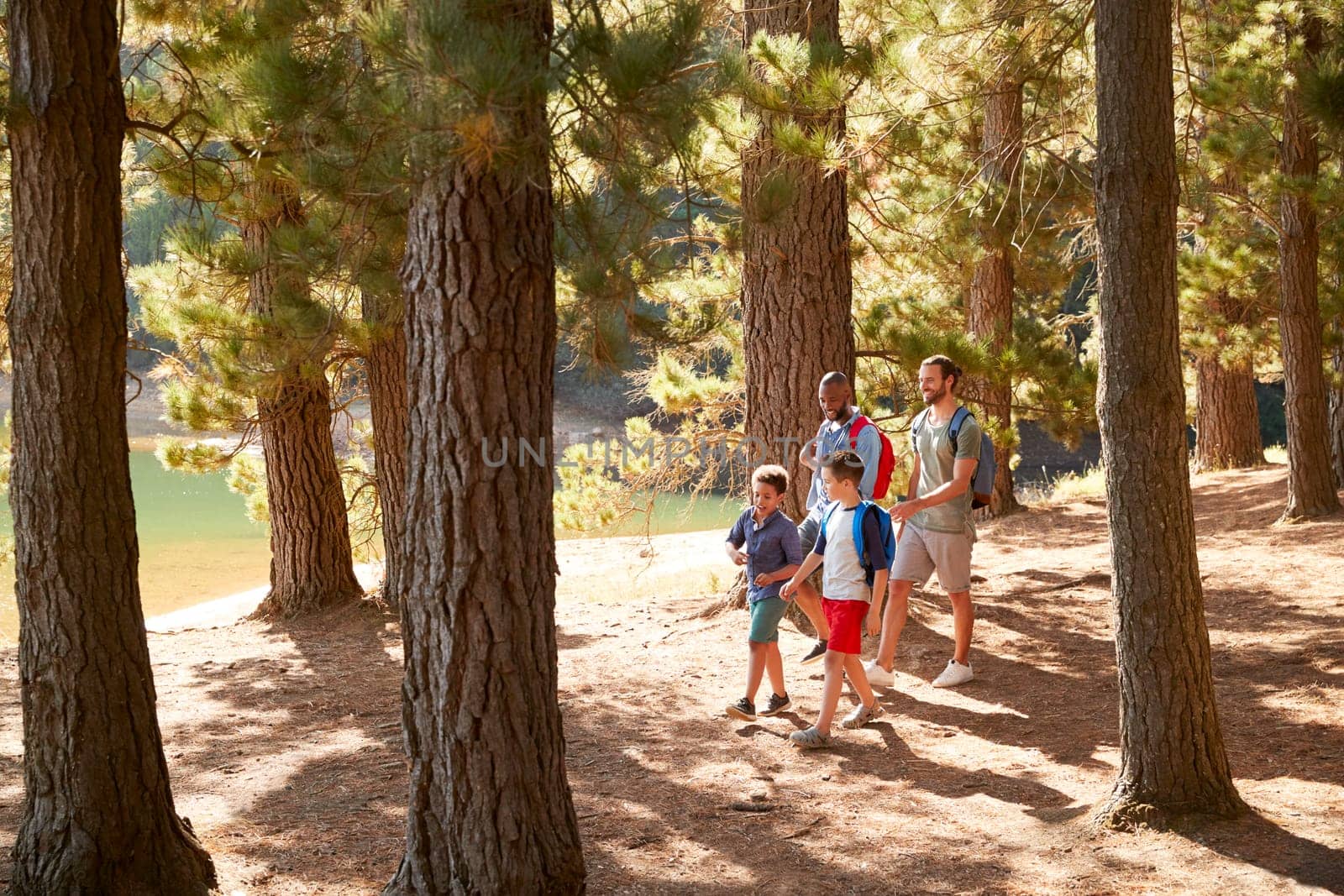 Boys With Fathers On Hiking Adventure Through Forest