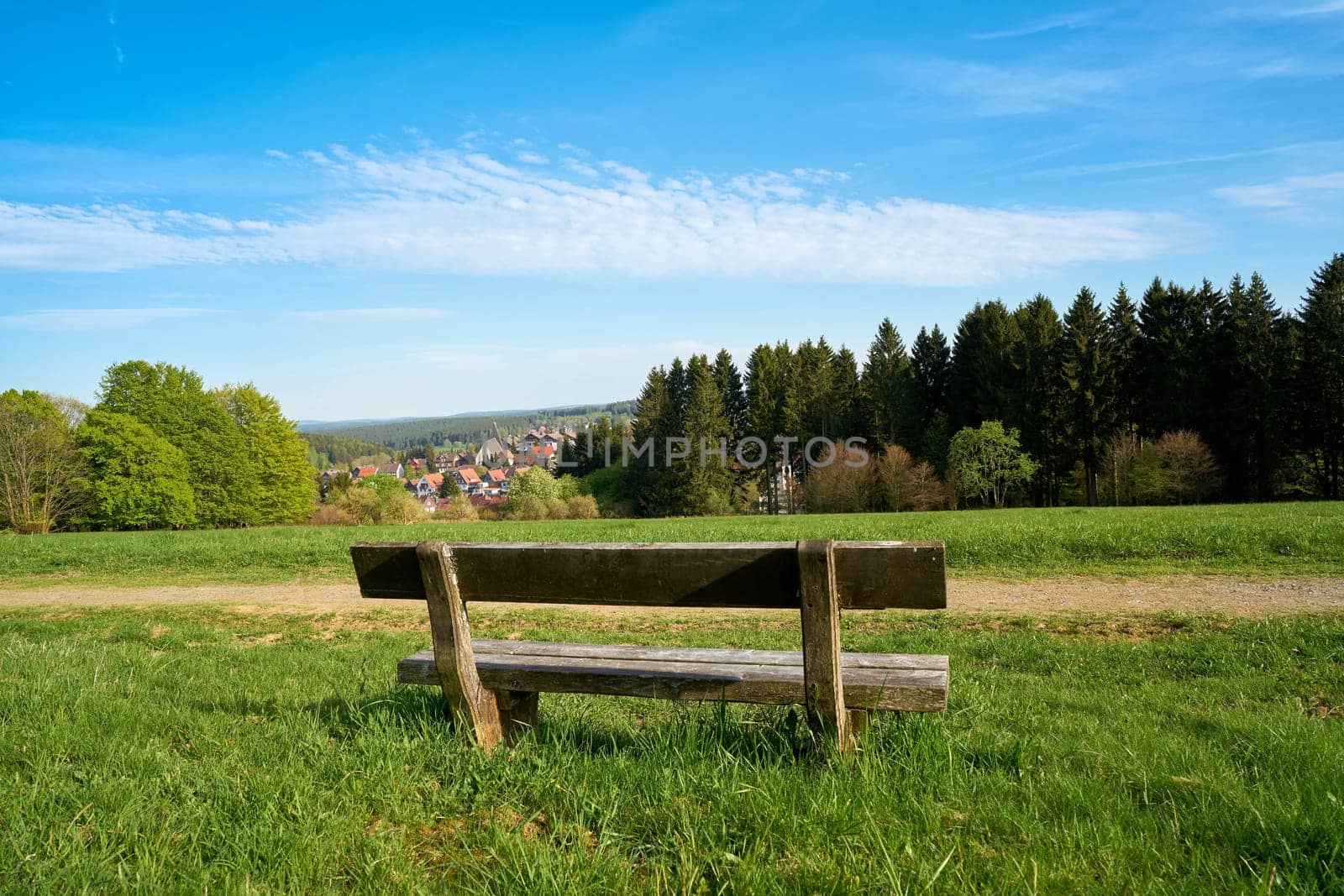 Bank on a hiking trail in the village of Braunlage in the Harz National Park