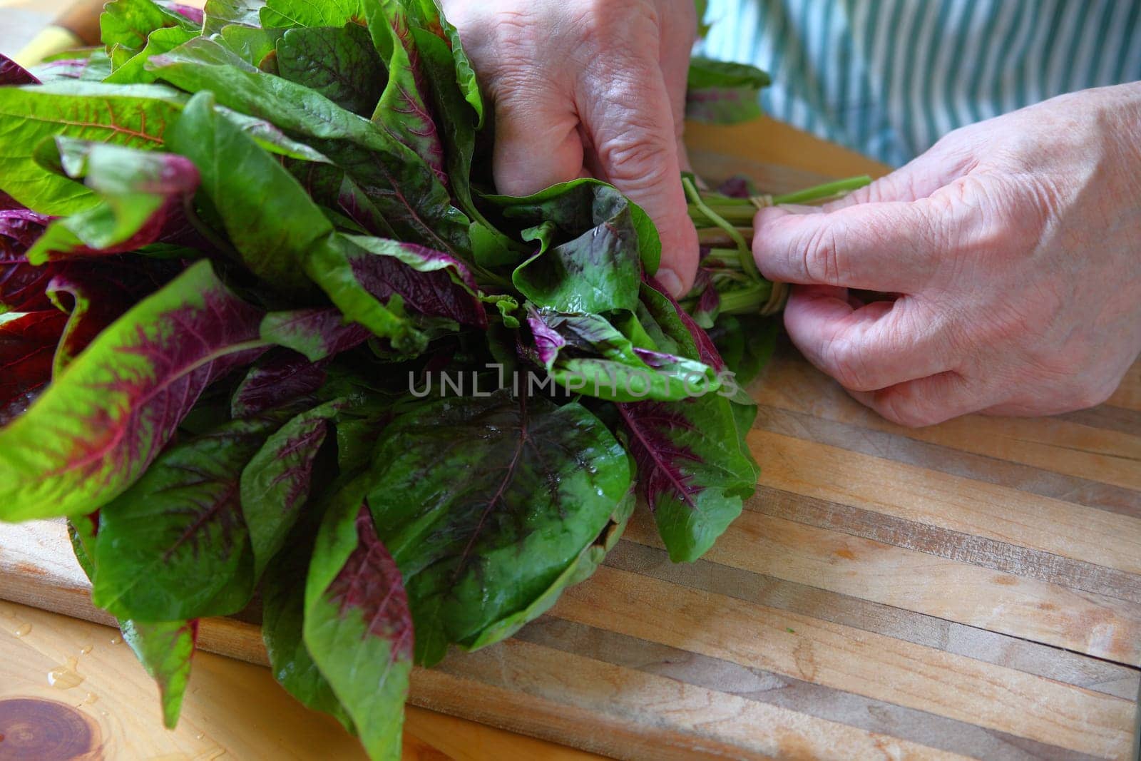 Male cook removes rubber band from bunch of amaranth greens