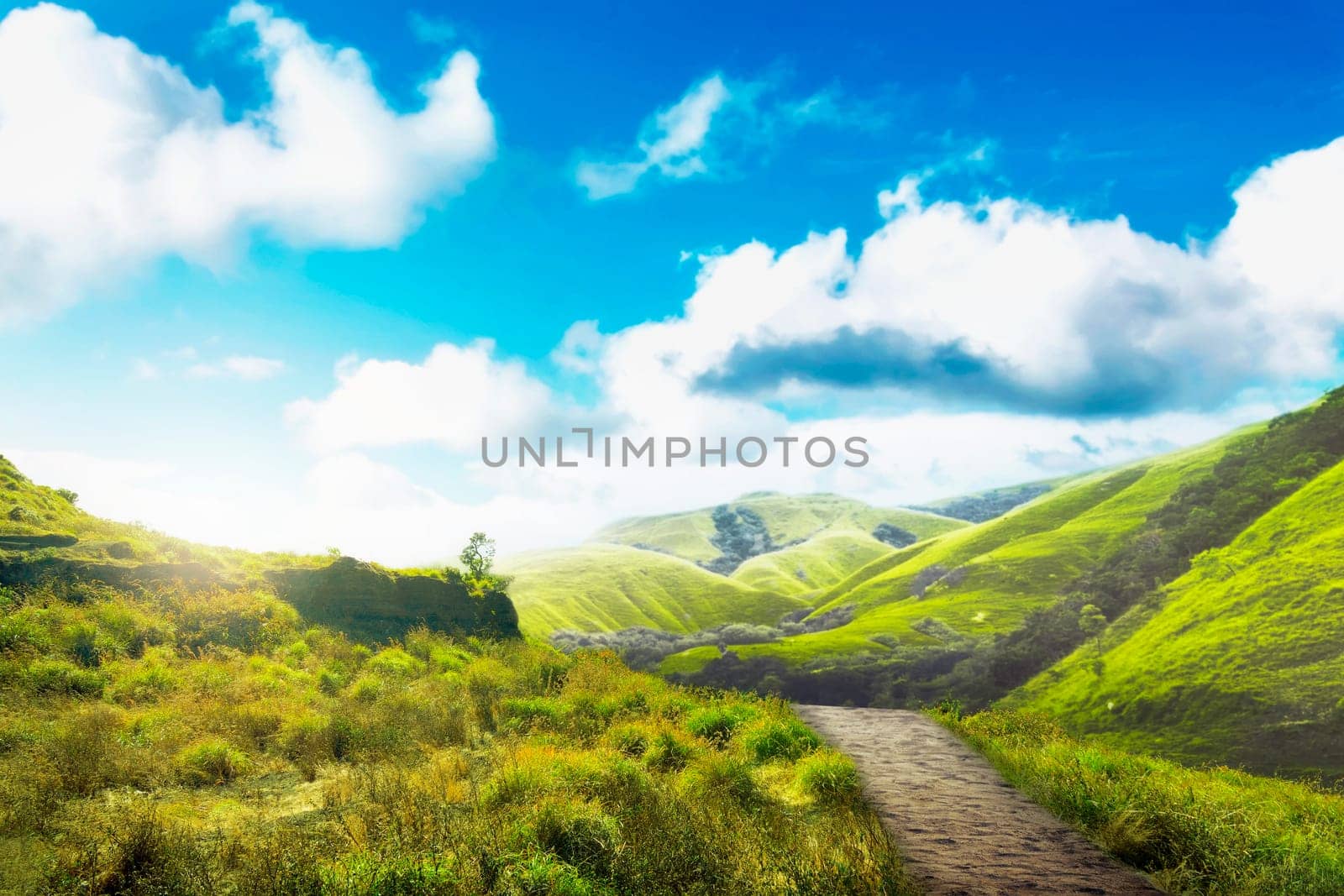 Rocky pathway towards the green valley with green grass view