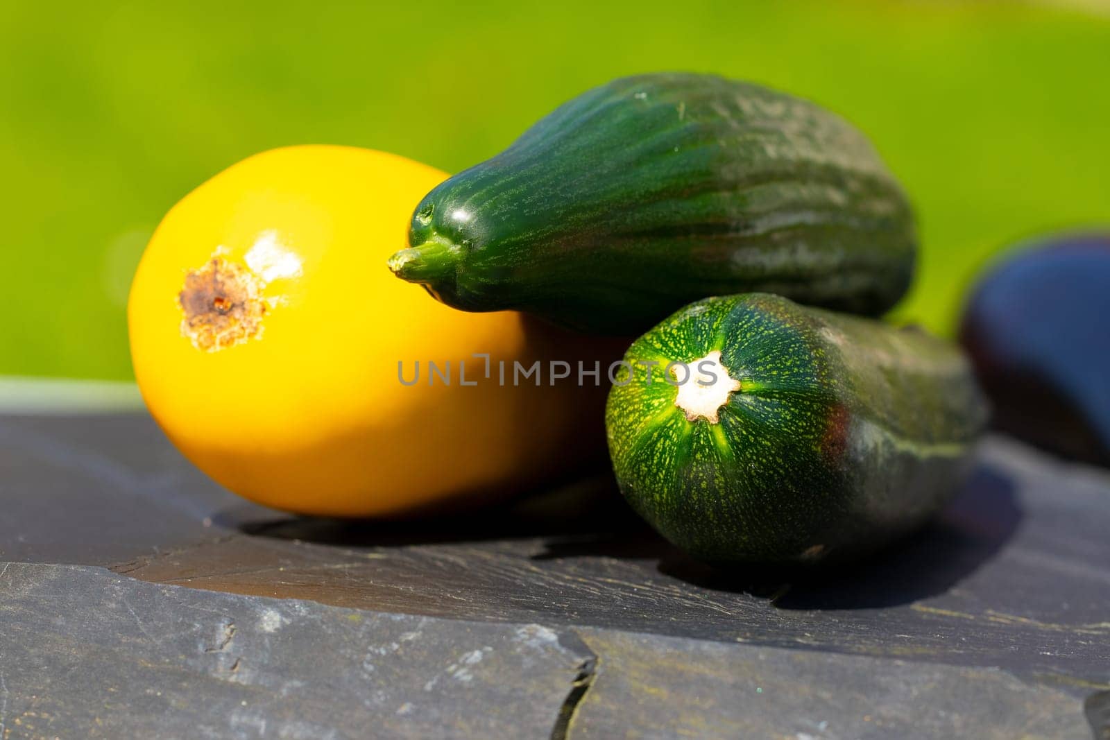 Closeup of a fresh yellow and two green courgette on black slate with natural colorful background. Outdoor. Concept health.
