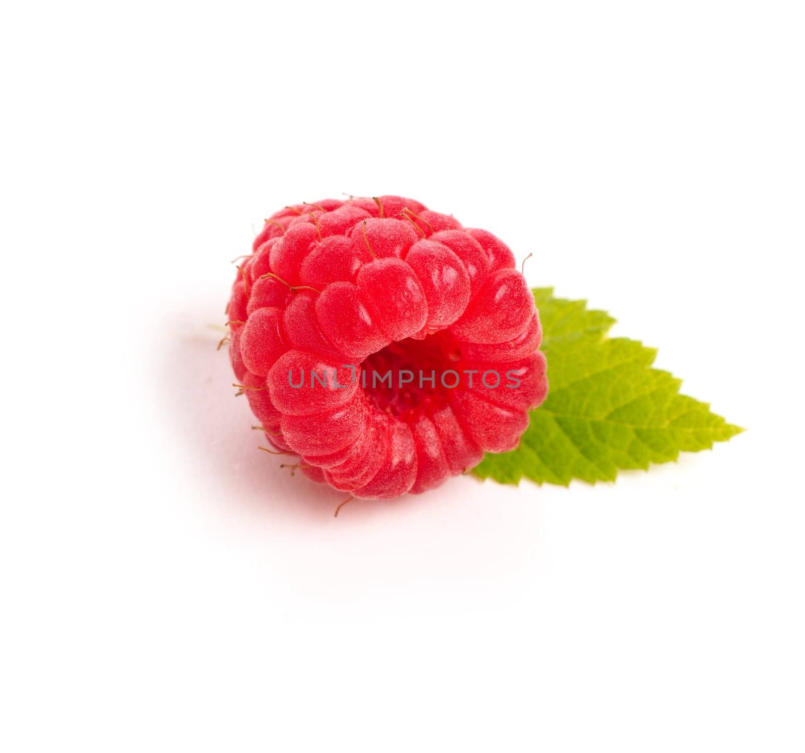 Close up studio shot of an organic raspberry on a white background