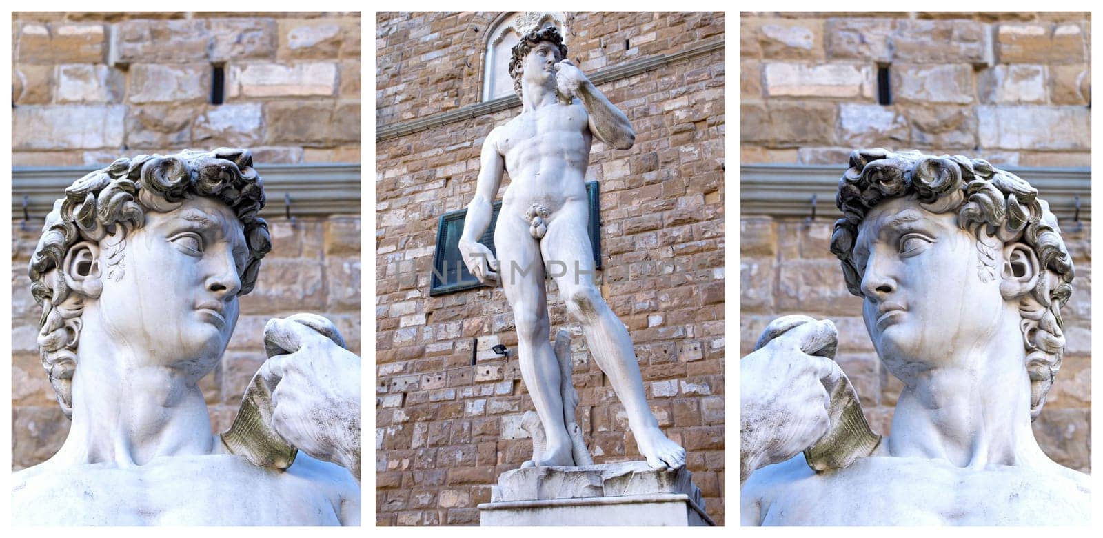 Collage with images of the David sculpture  by Michelangelo (Piazza Signoria,Florence, Tuscany, Italy). Details of the head and the overall view of the statue