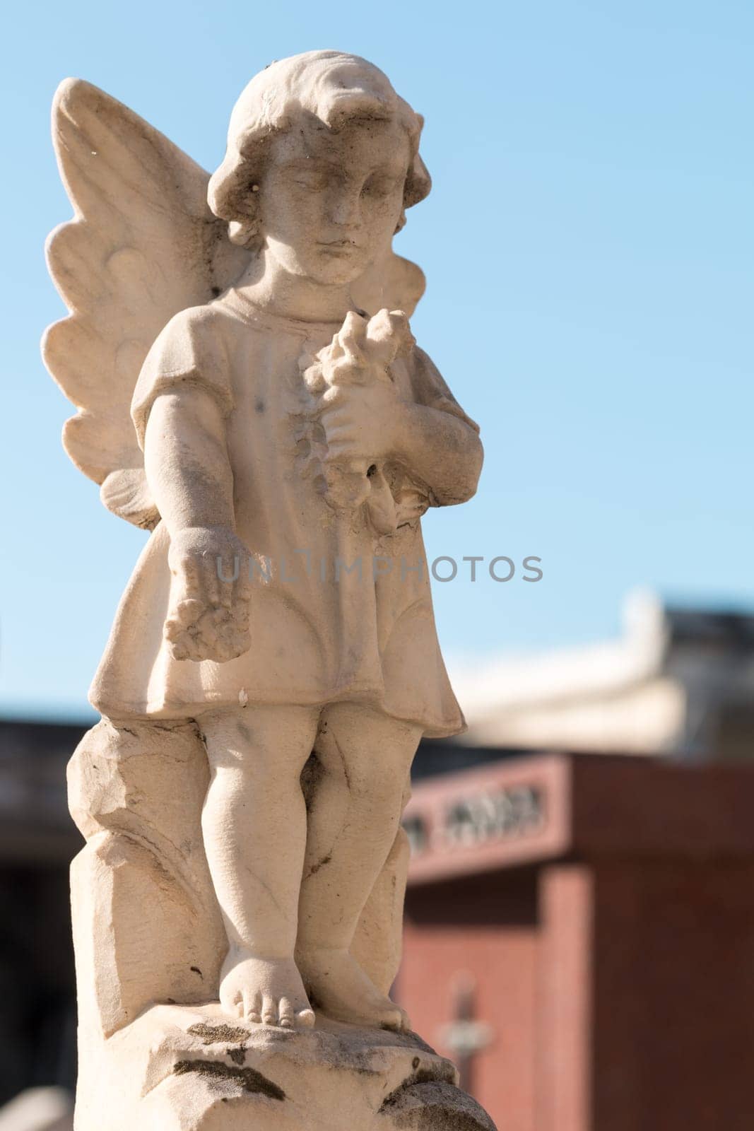 Ornamental details present on the graves of the cemeteries in Sicily