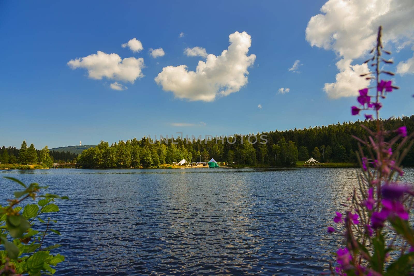 Fichtelsee Lake in the forest in summer