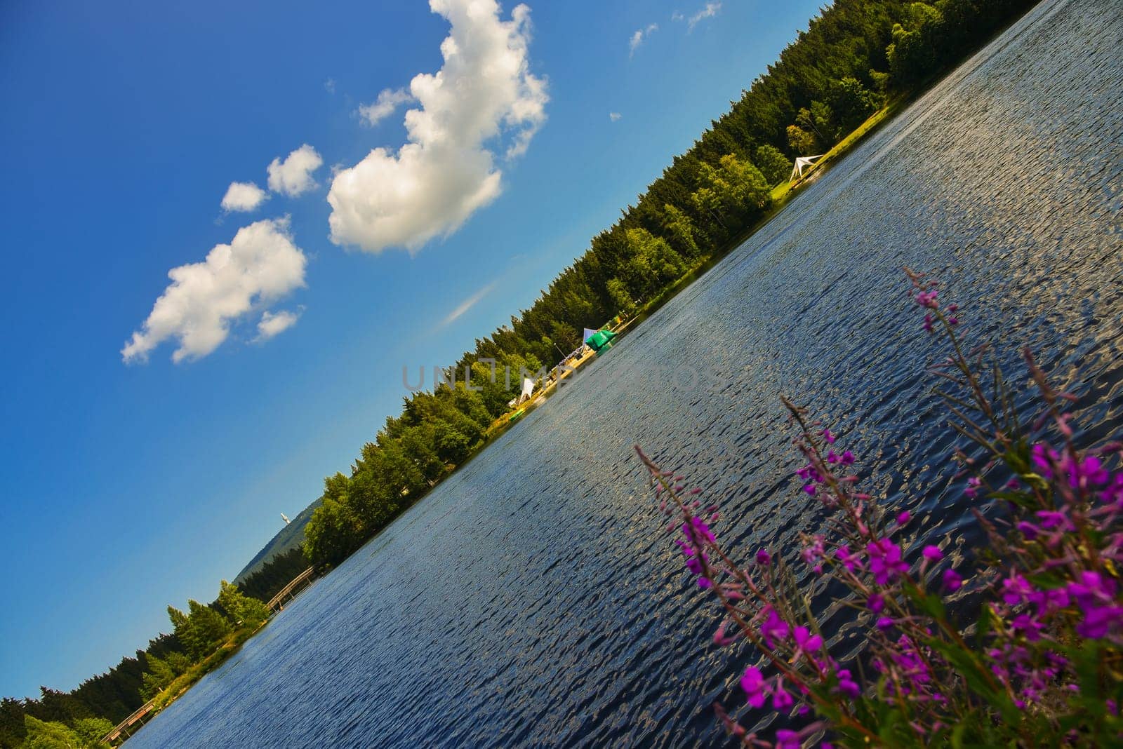 Fichtelsee Lake in the forest in summer