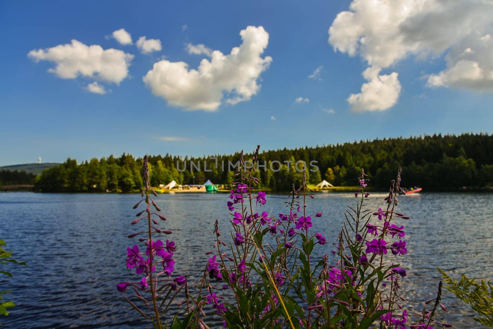 Fichtelsee Lake in the forest in summer