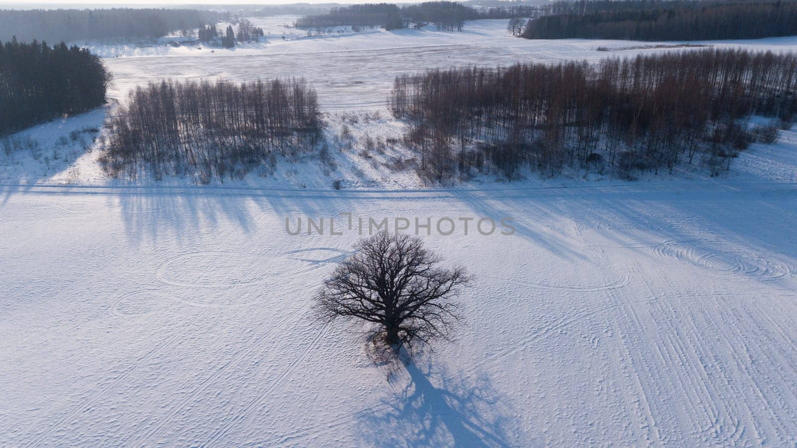Winter field Krimulda Latvia aerial drone top view