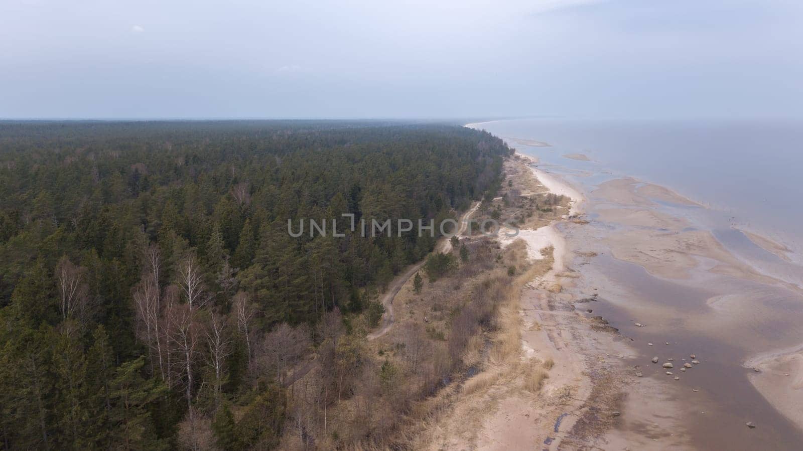 Roja Latvia Baltic Sea Seaside Aerial drone top view
