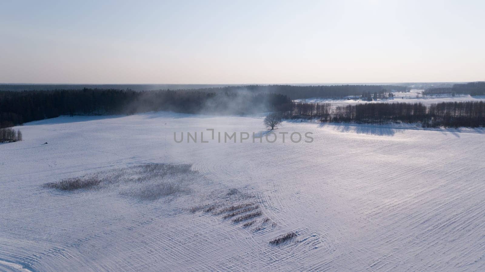 Winter field Krimulda Latvia aerial drone top view