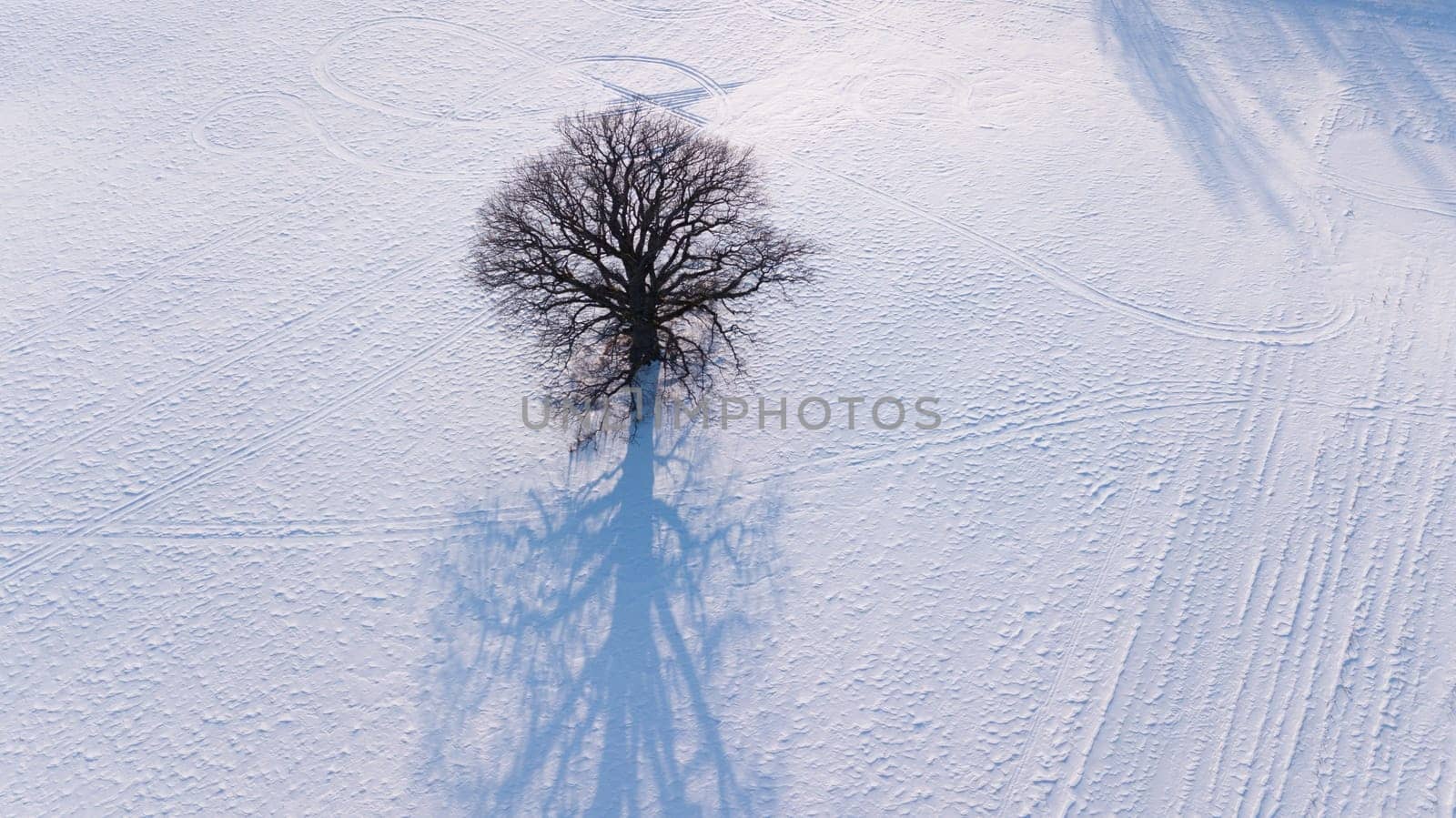Winter field Krimulda Latvia aerial drone top view