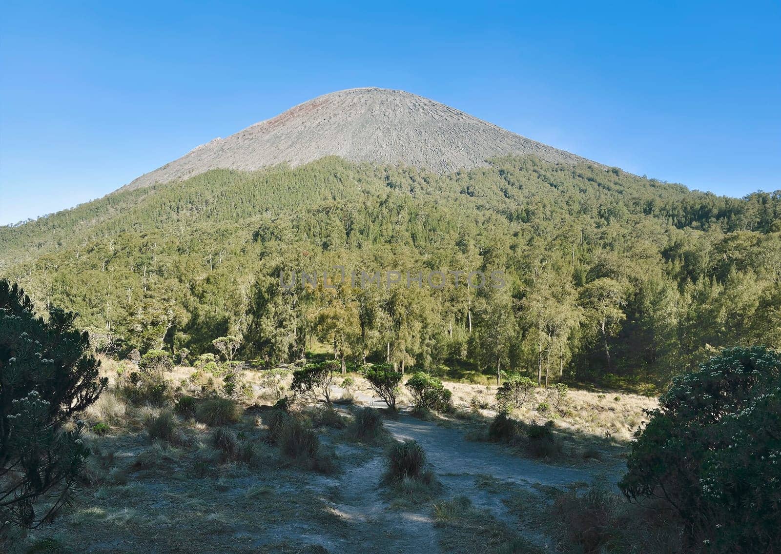 View of Semeru Mountain seen from Kalimati. Malang, Indonesia