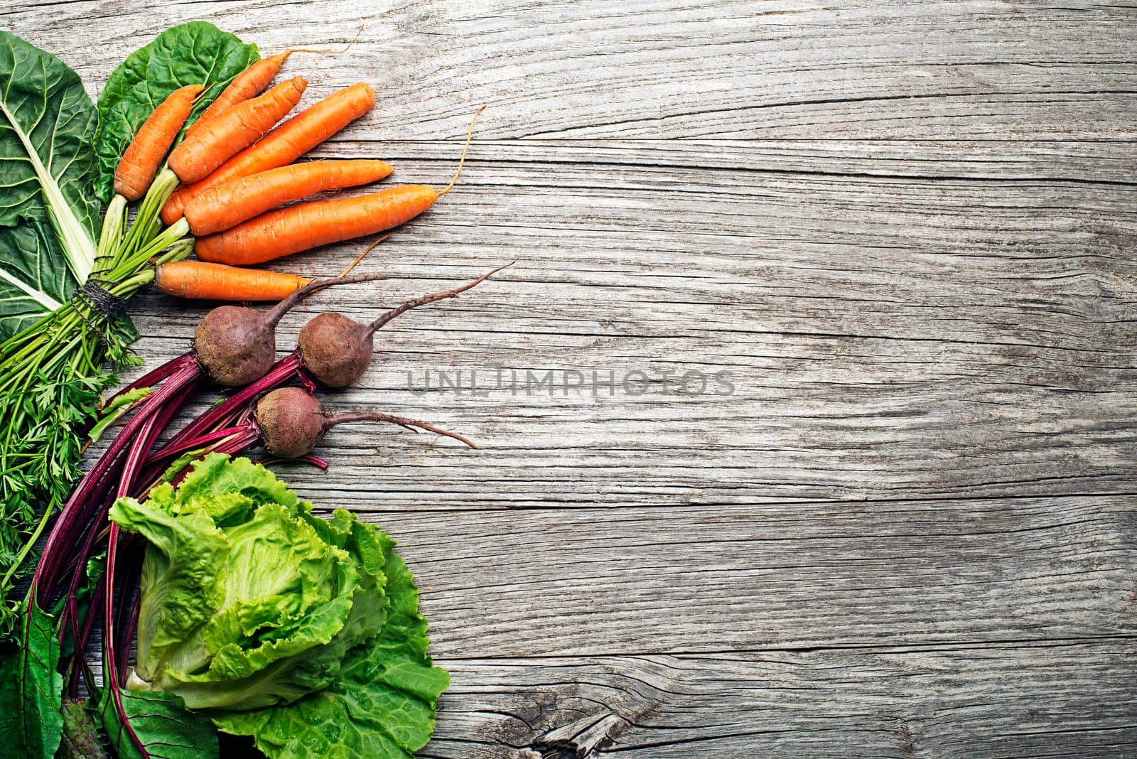 Assortment of fresh vegetables and ingredients on wooden rustic background