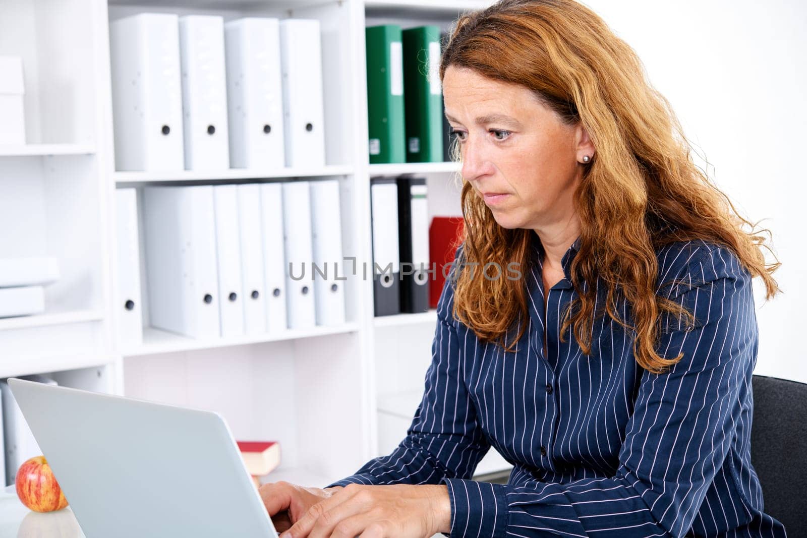 brown-haired  businesswoman working with computer in the office