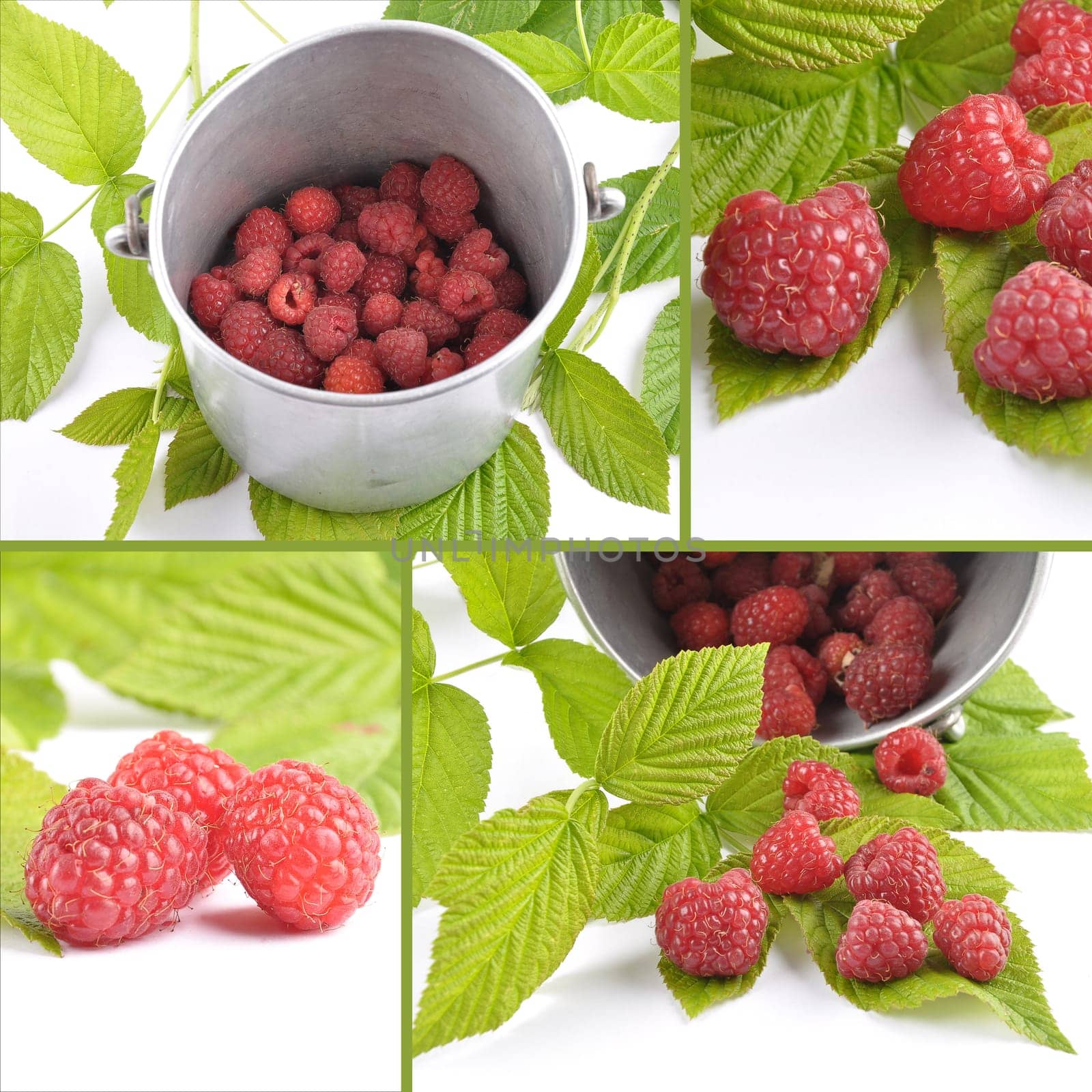 Collage raspberries with leaves on white background