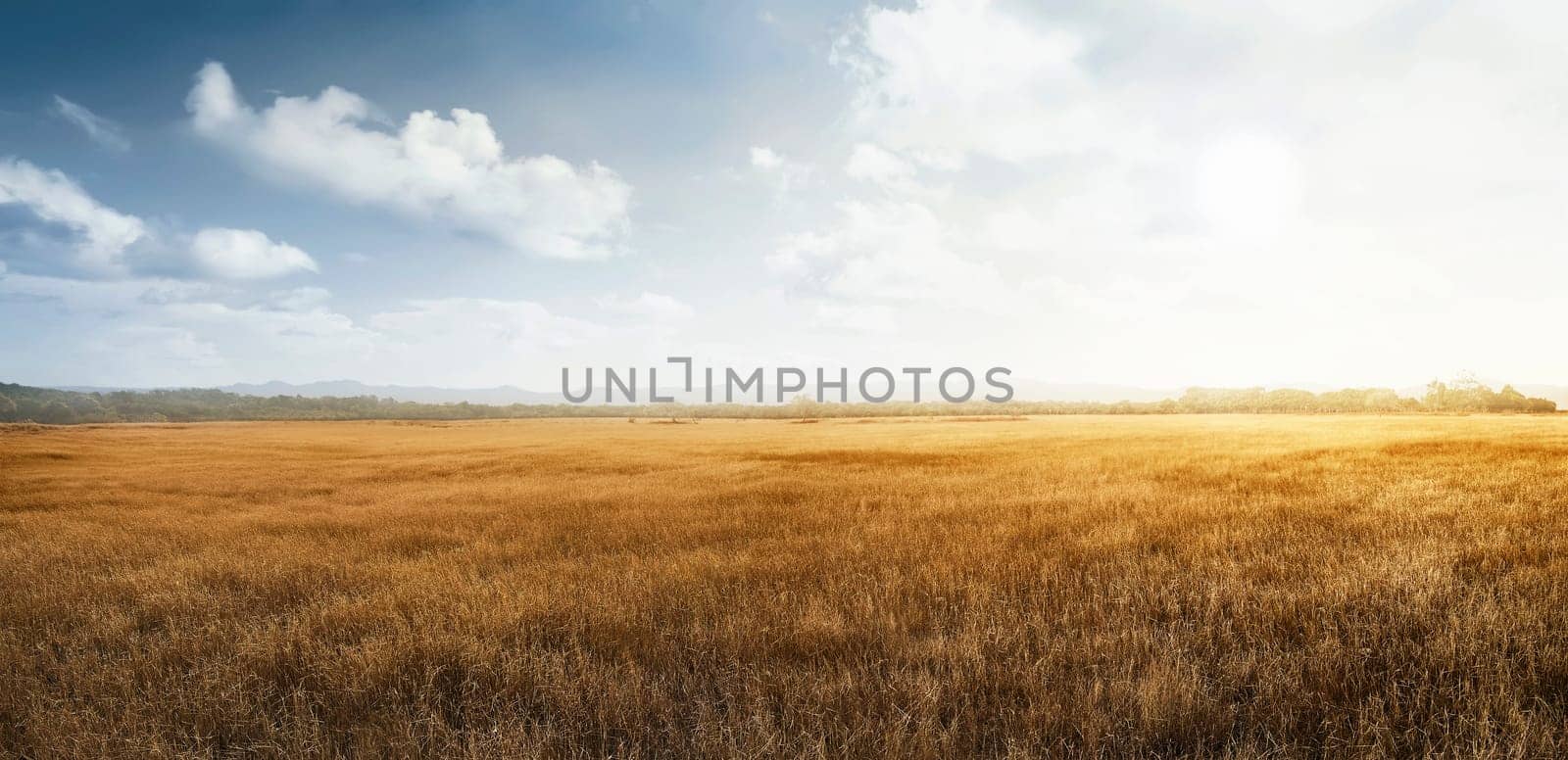 Landscape view of dry savanna with blue sky background