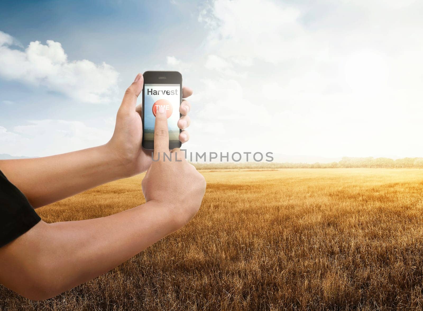 Man with smartphone on dry grass field. Time to Harvest Fall Day