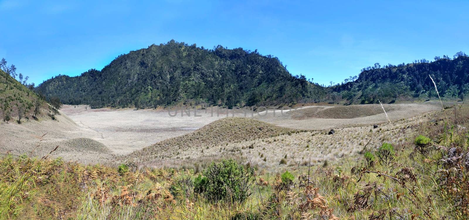Scenery of Savannah on Oro Oro Ombo in Semeru Mountain. Malang, Indonesia