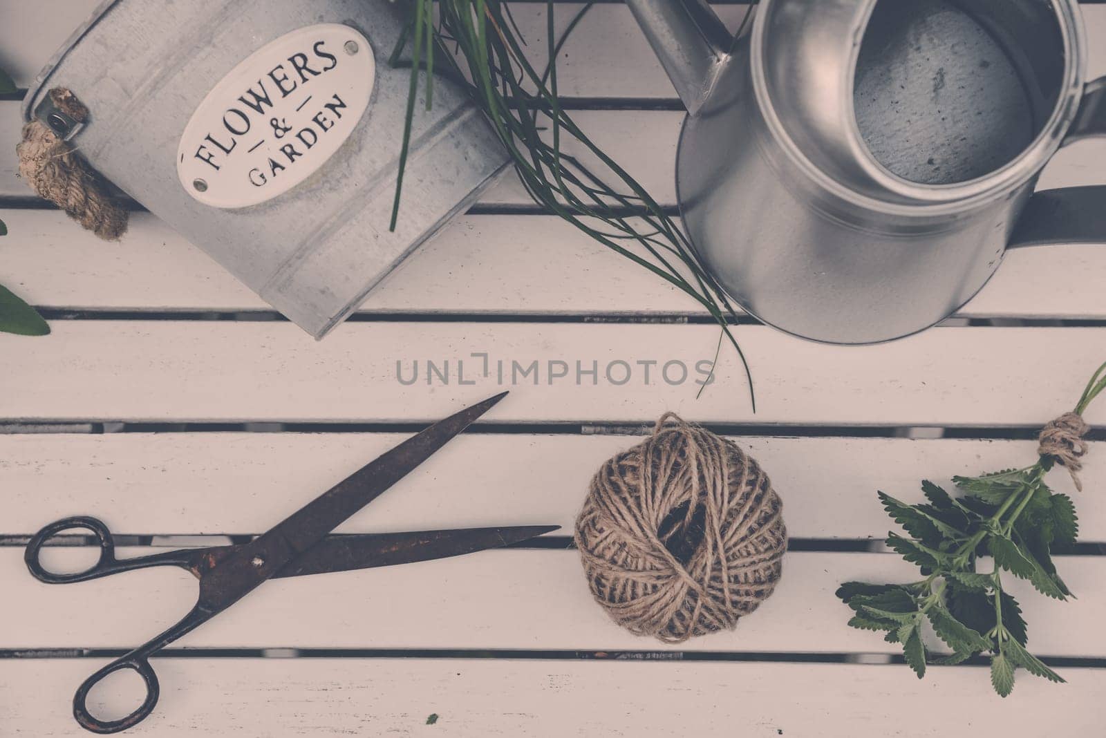 Herbs and garden utensils on white wood background from above