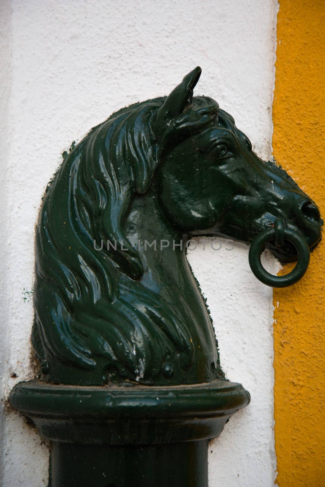 Horse hitching ring for tying horses.
