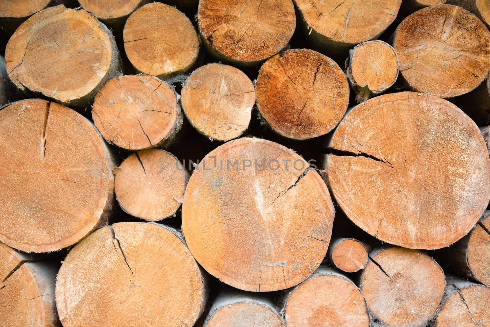 Pile of firewood in Austria.